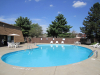 Best-Pool-Photo