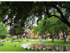 Courtyard-1